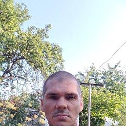 , 39, --