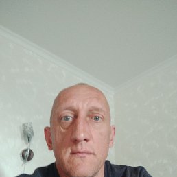 �����, 41 ���, ����������