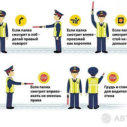 ������, ���������, 37 ���