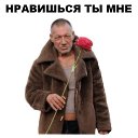 ���� ���������, ������, 52 ���� - ��������� 10 ������� 2026 � ������ ���� ����������