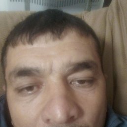 �����, ������ ��������, 46 ���