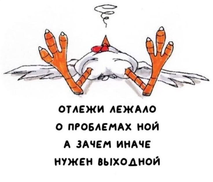 ***Victoria Viktorovna*** - 16  2025  13:15