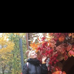 ����, ������, 58 ���