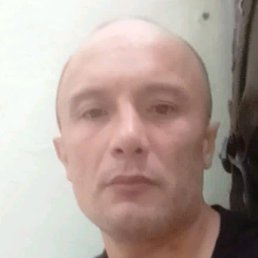 ����������, ������, 43 ����