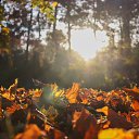 ���� �����, �����������, 53 ���� - ��������� 18 ������ 2023