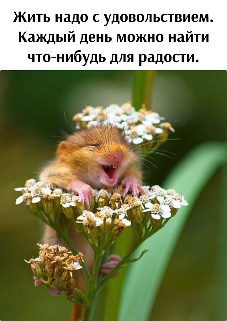   - 26  2025  07:52