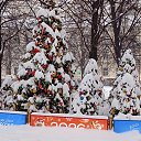 ���� Flower, ������ - ��������� 16 ������ 2026 � ������ ���� ����������