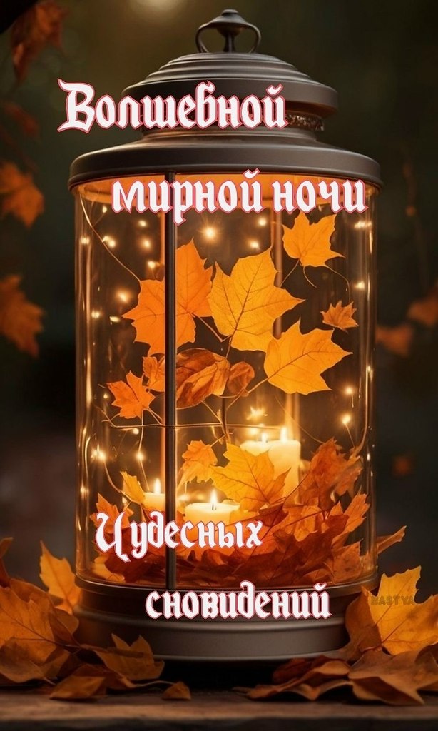 ОБО ВСЕМ - 24 октября 2025 в 00:48