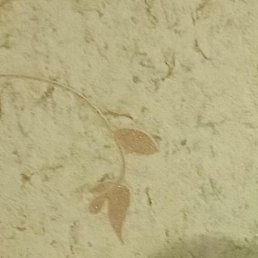 �������, ����, 39 ���