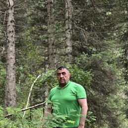 , 54, 