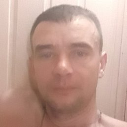 ������, �����������, 40 ���