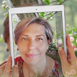 , 53, 