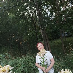 , 53, -