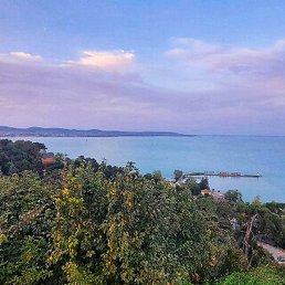 ��������, �����, 79 ���