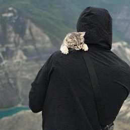 Umar, ���������, 24 ����