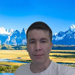 German, 36, 