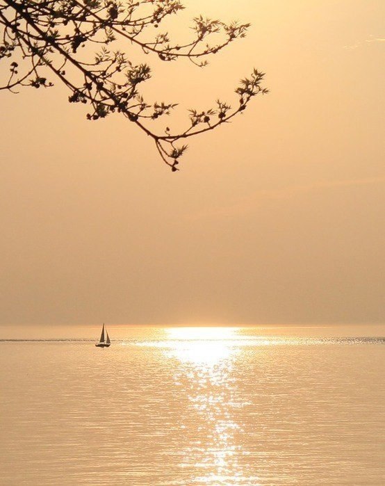Только в спокойных водах вещи отражаются неискаженными. Только спокойное сознание пригодно для ...