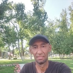 , 44, 