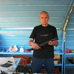 ���� ��������, �����, 66 ��� - ��������� 19 ������� 2025