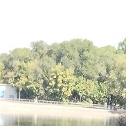 , 54 , 
