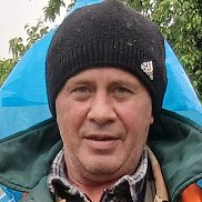 , 52 , 