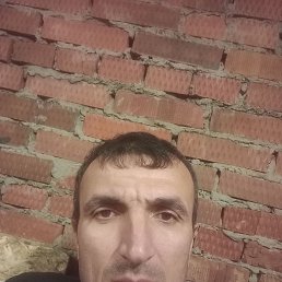 , 40, 