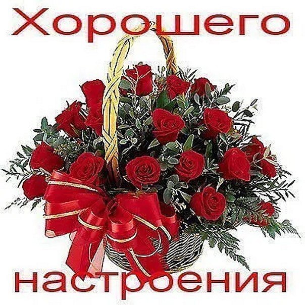   - 11  2025  01:29