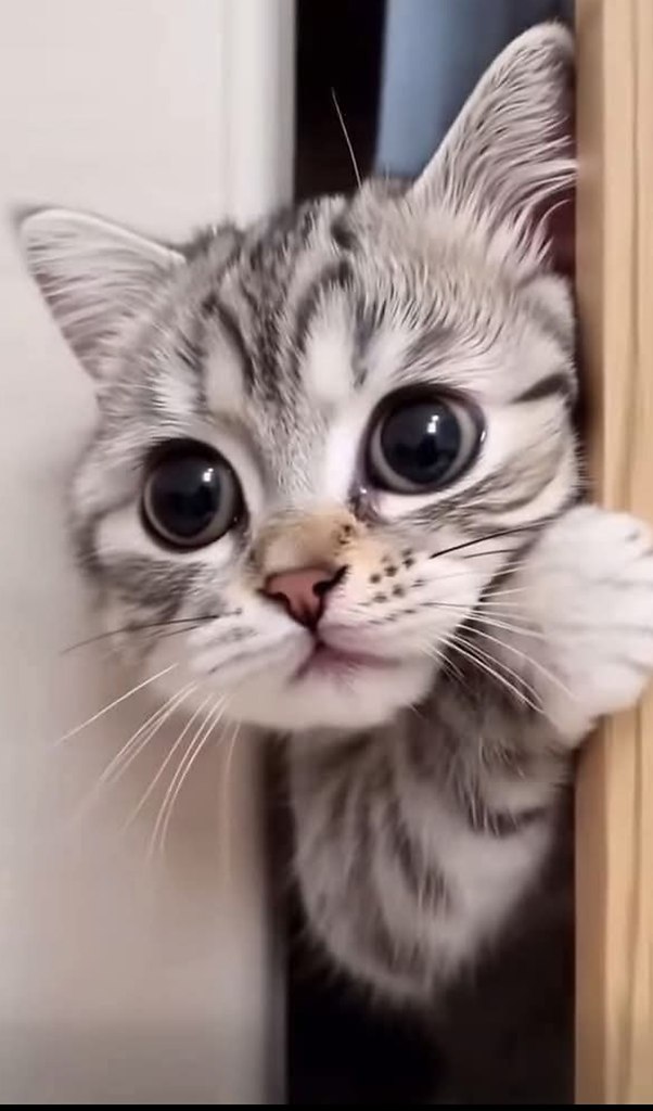   -  :     ,  , ,  , ...