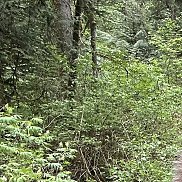 �������, 47 ���, �����������