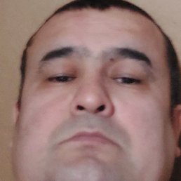 ��������, ������, 41 ���