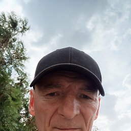 , 44, 