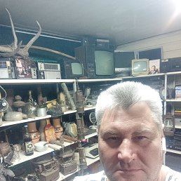 , 46, -
