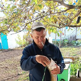 ����, ������, 43 ����