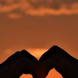 Abdullo, �����������, 33 ����