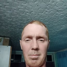  , 37, 