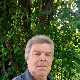 , 62, 