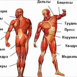 ����, ������, 51 ���