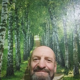 , 65, 