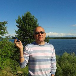 , 61, 