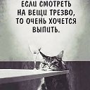 ���� �������, ���������, 54 ���� - ��������� 23 ��� 2026 � ������ ������ ��������
