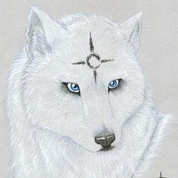 ���� ��, ������������, 55 ���