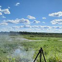 ���� ������, �������, 51 ��� - ��������� 15 ������ 2025