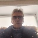 ���� ��������, ����������, 66 ��� - ��������� 8 ��� 2026 � ������ ���� ����������