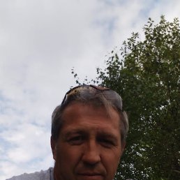 �����, 46 ���, ����