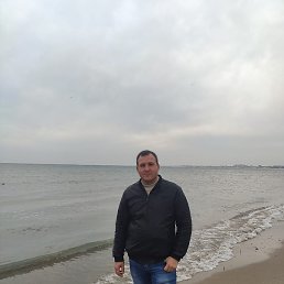 ������, ���������, 41 ���