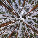 ���� �������, ������������, 67 ��� - ��������� 30 ����� 2025 � ������ ������ ��������