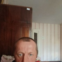, 41, 