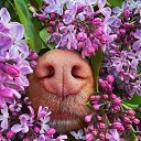 ���� ���, �������� - ��������� 30 ������ 2026 � ������ ������ ��������