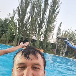 , 34, 