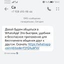 ���� �����, ���������, 44 ���� - ��������� 15 �������� 2024 � ������ ���� ����������